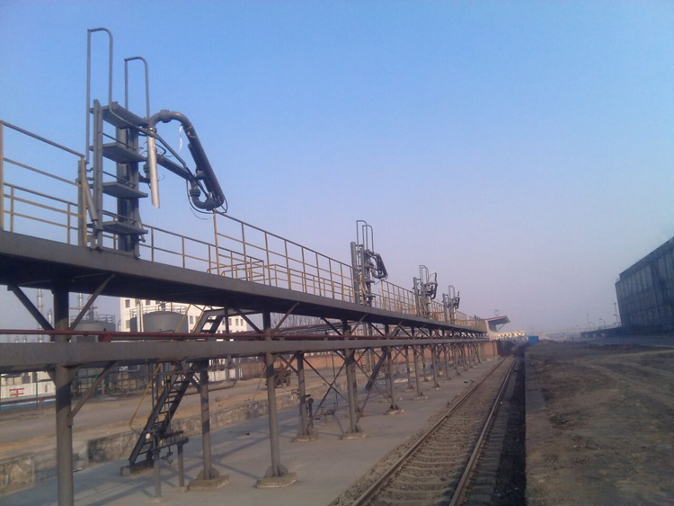 ɽ���͑��F��